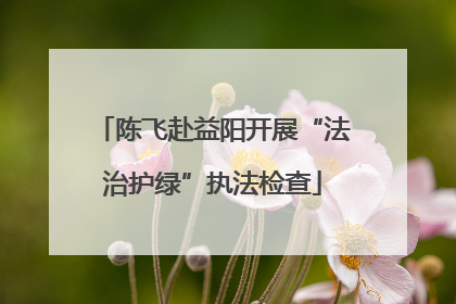 陈飞赴益阳开展“法治护绿”执法检查