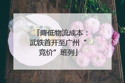 降低物流成本：武铁首开至广州“竞价”班列