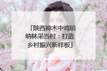 陕西神木中鸡镇纳林采当村：打造乡村振兴新样板
