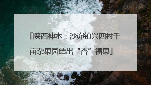 陕西神木：沙峁镇兴四村千亩杂果园结出“杏”福果