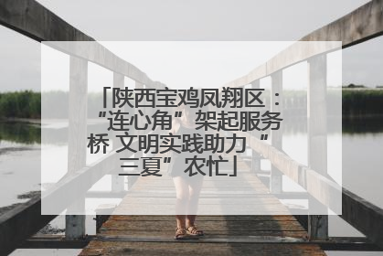 陕西宝鸡凤翔区：“连心角”架起服务桥 文明实践助力“三夏”农忙