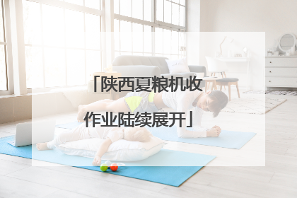 陕西夏粮机收作业陆续展开
