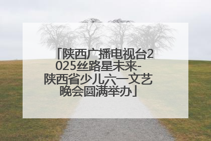 陕西广播电视台2025丝路星未来-陕西省少儿六一文艺晚会圆满举办