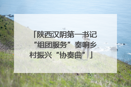 陕西汉阴第一书记“组团服务”奏响乡村振兴“协奏曲”