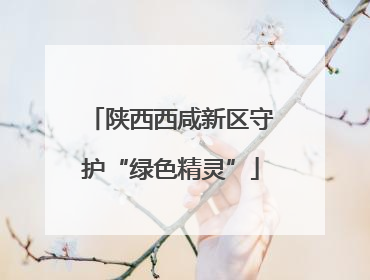 陕西西咸新区守护“绿色精灵”