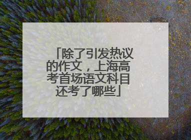 除了引发热议的作文，上海高考首场语文科目还考了哪些