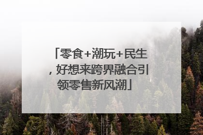零食+潮玩+民生，好想来跨界融合引领零售新风潮