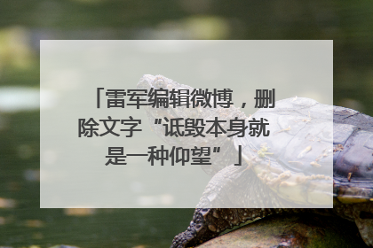 雷军编辑微博，删除文字“诋毁本身就是一种仰望”