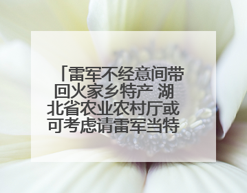 雷军不经意间带回火家乡特产 湖北省农业农村厅或可考虑请雷军当特产大使