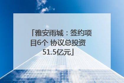 雅安雨城：签约项目6个 协议总投资51.5亿元