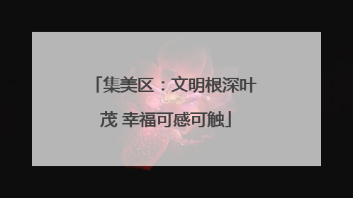 集美区：文明根深叶茂 幸福可感可触