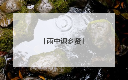 雨中识乡贤