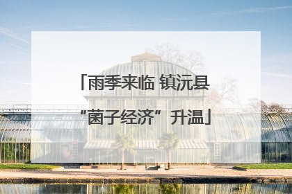 雨季来临 镇沅县“菌子经济”升温