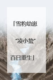 雪豹幼崽“凌小蛰”百日重生