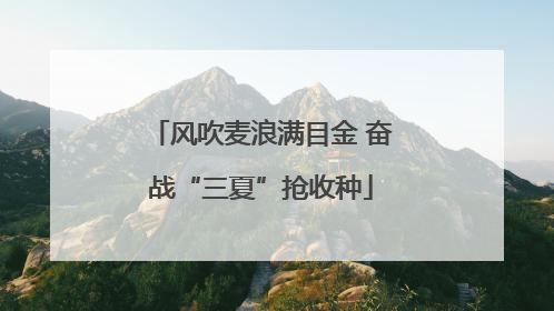 风吹麦浪满目金 奋战“三夏”抢收种