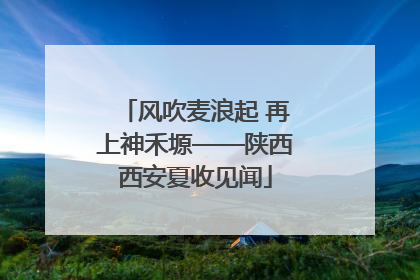风吹麦浪起 再上神禾塬——陕西西安夏收见闻