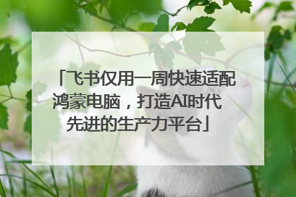 飞书仅用一周快速适配鸿蒙电脑，打造AI时代先进的生产力平台