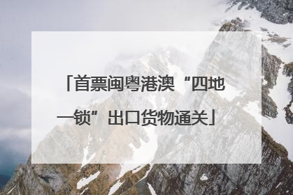 首票闽粤港澳“四地一锁”出口货物通关