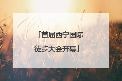 首届西宁国际徒步大会开幕