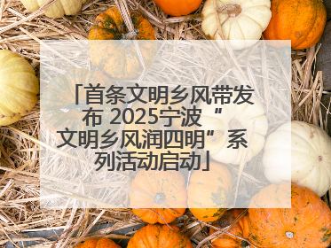 首条文明乡风带发布 2025宁波“文明乡风润四明”系列活动启动