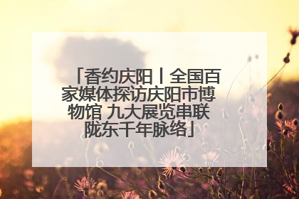 香约庆阳丨全国百家媒体探访庆阳市博物馆 九大展览串联陇东千年脉络