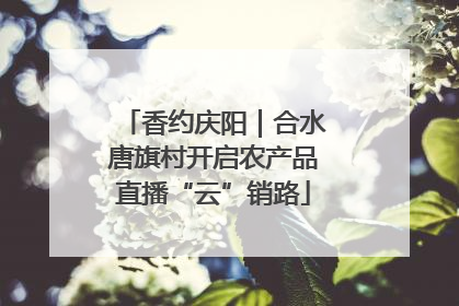 香约庆阳｜合水唐旗村开启农产品直播“云”销路