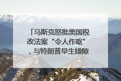 马斯克怒批美国税改法案“令人作呕”，与特朗普早生嫌隙？｜国际识局