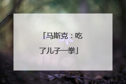 马斯克：吃了儿子一拳