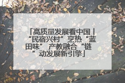 高质量发展看中国丨“民宿兴村”烹热“蓝田味” 产教融合“链”动发展新引擎