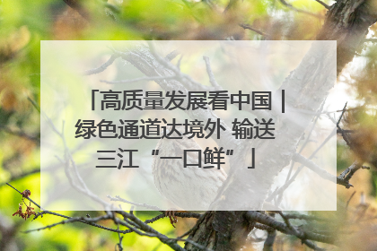 高质量发展看中国｜绿色通道达境外 输送三江“一口鲜”