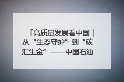 高质量发展看中国｜从“生态守护”到“碳汇生金”——中国石油大庆油田绿色蝶变