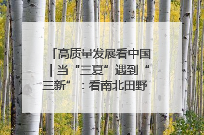 高质量发展看中国｜当“三夏”遇到“三新”：看南北田野里的科技共生记