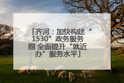 齐河：加快构建“1530”政务服务圈 全面提升“就近办”服务水平