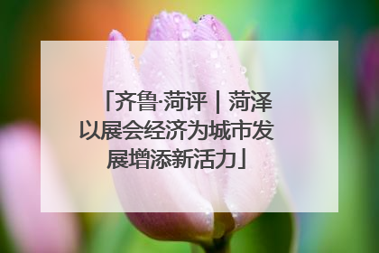 齐鲁·菏评｜菏泽以展会经济为城市发展增添新活力