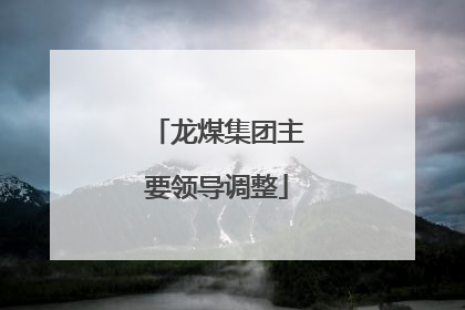 龙煤集团主要领导调整