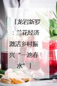 龙岩新罗：兰花经济激活乡村振兴“一池春水”