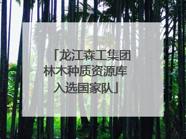 龙江森工集团林木种质资源库入选国家队