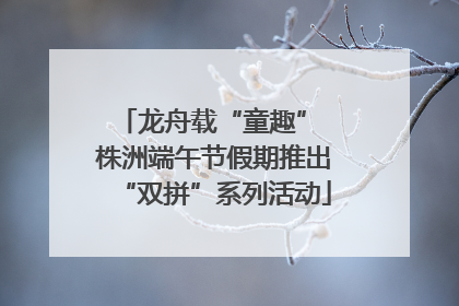 龙舟载“童趣” 株洲端午节假期推出“双拼”系列活动