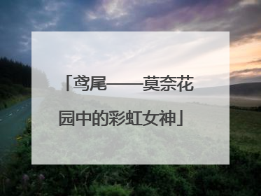 鸢尾——莫奈花园中的彩虹女神