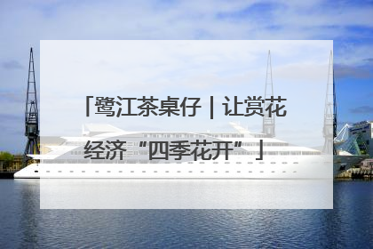 鹭江茶桌仔｜让赏花经济“四季花开”