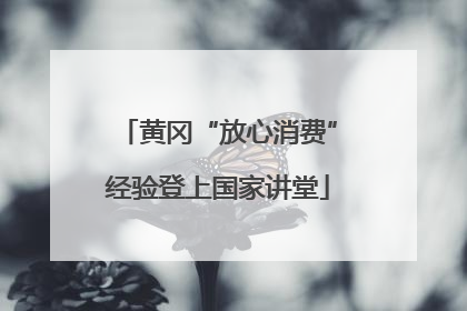 黄冈“放心消费”经验登上国家讲堂
