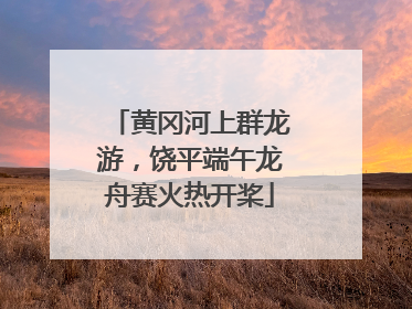 黄冈河上群龙游，饶平端午龙舟赛火热开桨