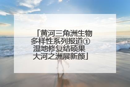 黄河三角洲生物多样性系列报道①湿地修复结硕果 大河之洲展新颜