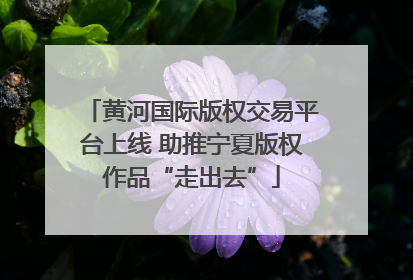 黄河国际版权交易平台上线 助推宁夏版权作品“走出去”