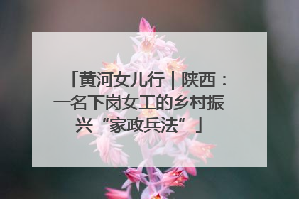 黄河女儿行｜陕西：一名下岗女工的乡村振兴“家政兵法”
