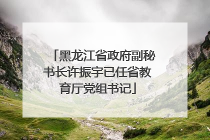黑龙江省政府副秘书长许振宇已任省教育厅党组书记