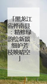 黑龙江省桦南县：精修绿韵绘新景 细护芳枝映晴空