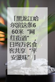 黑龙江哈尔滨这条660米“网红街道”，日均万名食客共享“平安滋味”