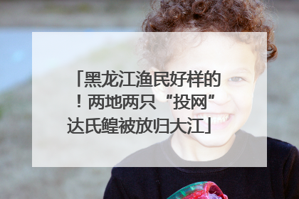 黑龙江渔民好样的！两地两只“投网”达氏鳇被放归大江