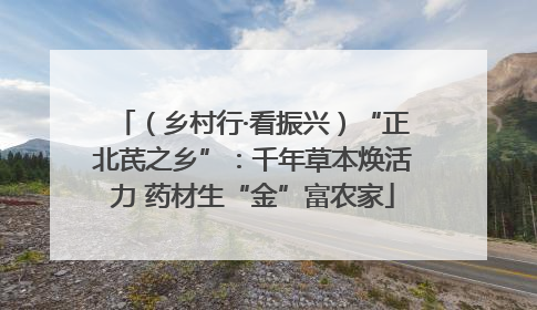 （乡村行·看振兴）“正北芪之乡”：千年草本焕活力 药材生“金”富农家